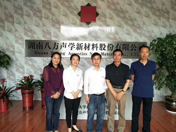 湖南八方聲學新材料股份有限公司