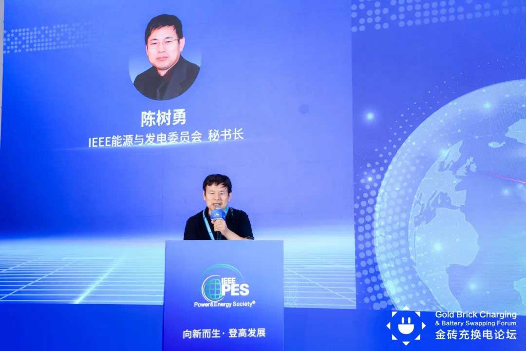 IEEE PES能源與發(fā)電委員會(huì)秘書長陳樹勇