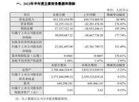 捷順科技公布上半年業(yè)績，營收6.53億元，同比增長44.9%