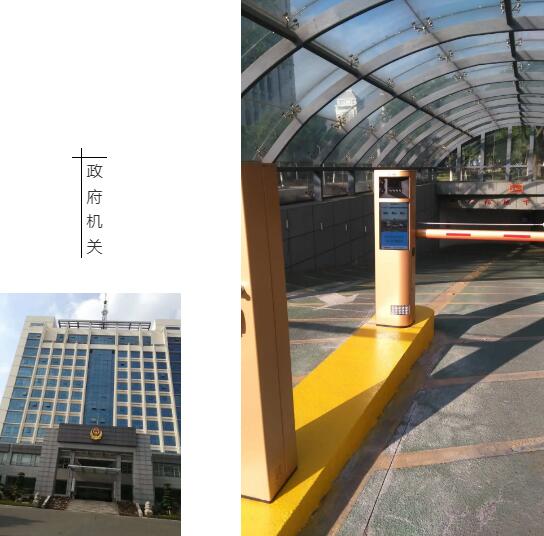 藍卡政府機關案例