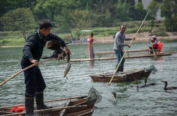 個(gè)性化旅游、沉浸式旅游