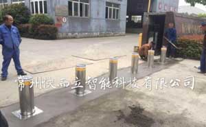 嘉興化工廠(chǎng)升降柱案例