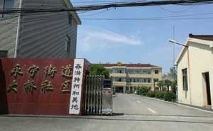 永寧街道大橋社區(qū)電動(dòng)伸縮門(mén)工程