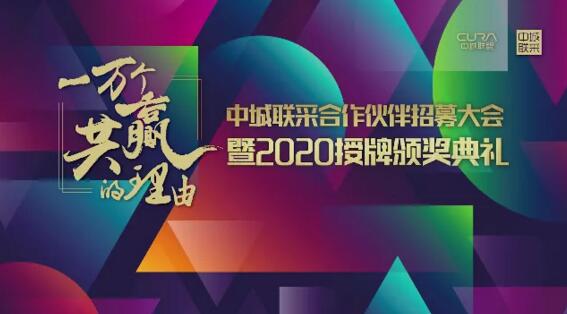中國(guó)城市房地產(chǎn)開發(fā)商策略聯(lián)盟