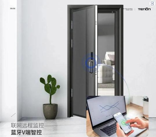 《2021天能智能門電子畫(huà)冊(cè)》系列產(chǎn)品