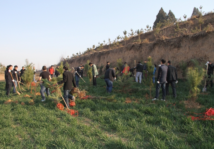 2017-3-8���F�x��ֲ�� 022.jpg