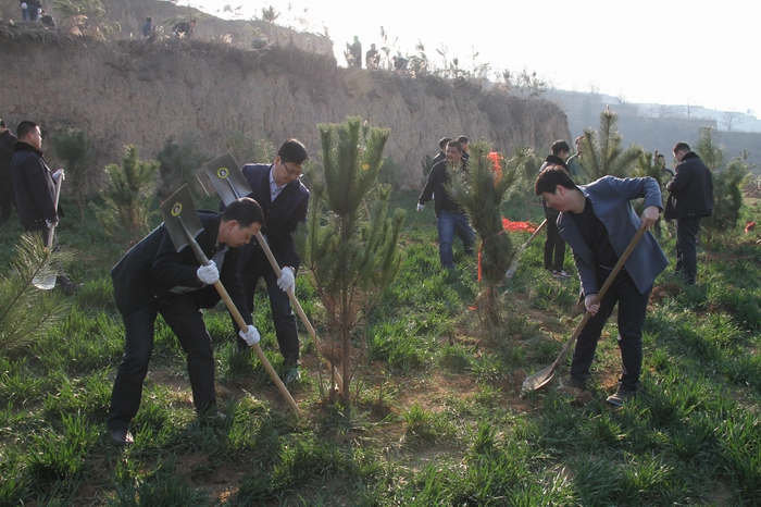 2017-3-8���F�x��ֲ�� 047.jpg