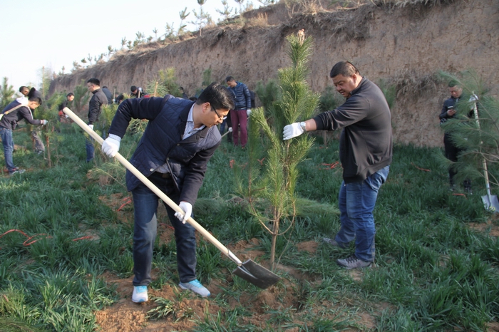 2017-3-8���F�x��ֲ�� 028.jpg