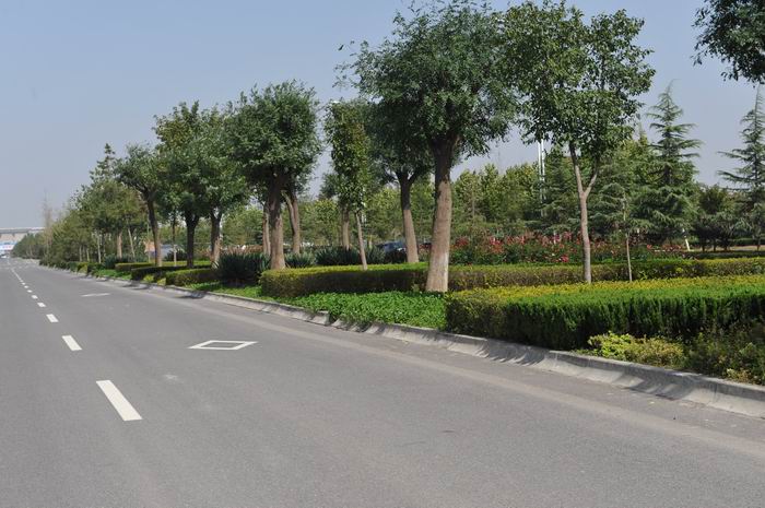 2011-10-13�}(c��ng)��· (4).jpg